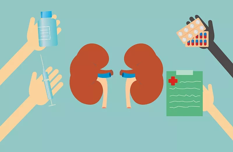 間充質(zhì)干細(xì)胞治療糖尿病腎病的潛力概述 間充質(zhì)干細(xì)胞治療糖尿病腎病的潛力概述