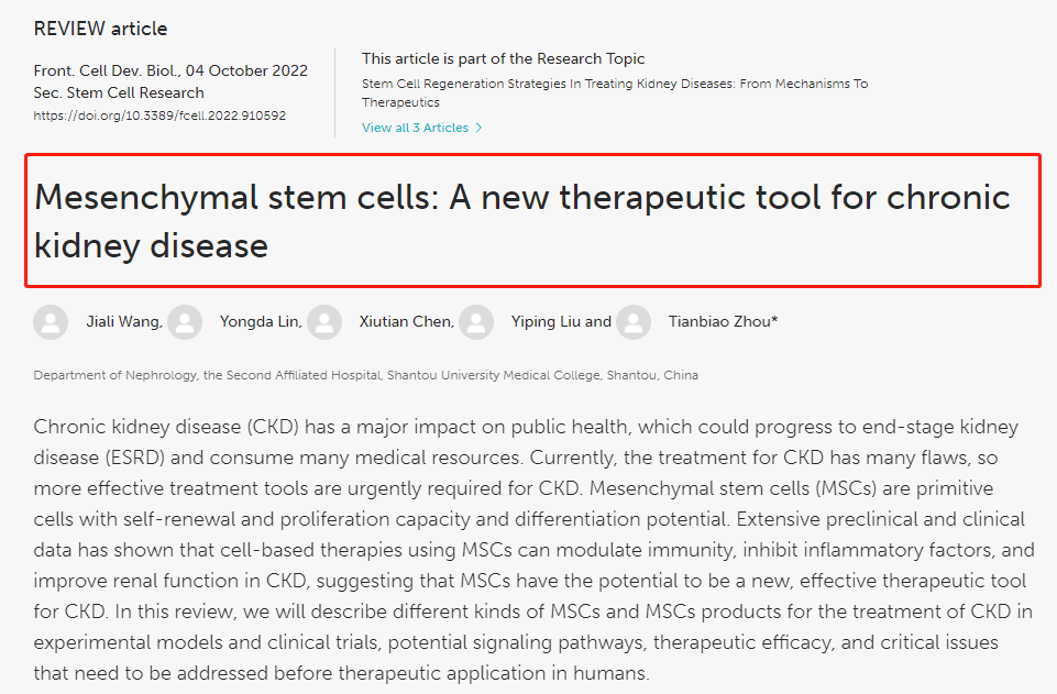 間充質干細胞治療慢性腎病的文獻綜述