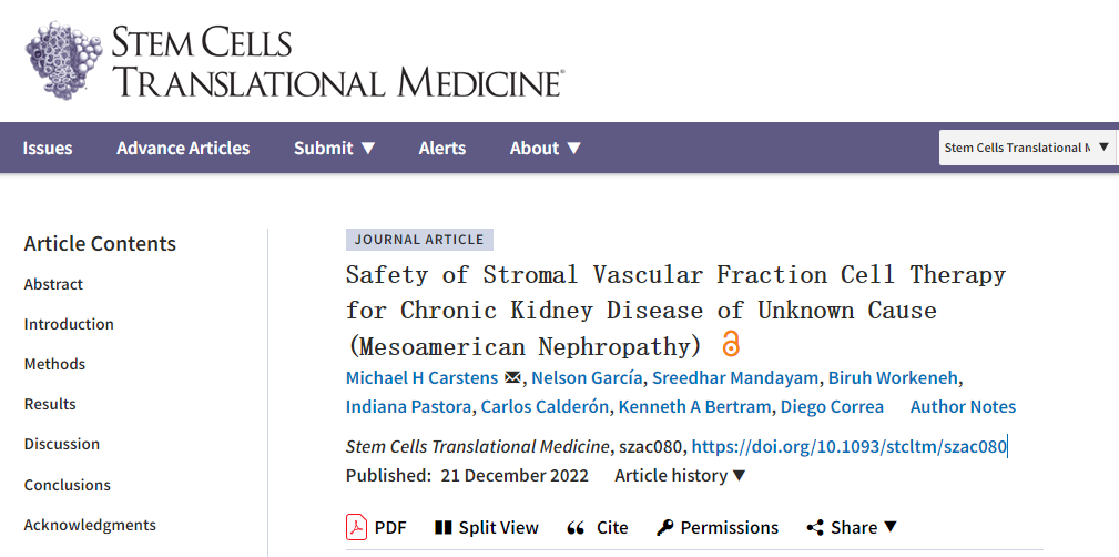 間充質干細胞治療不明原因慢性腎臟病的安全性