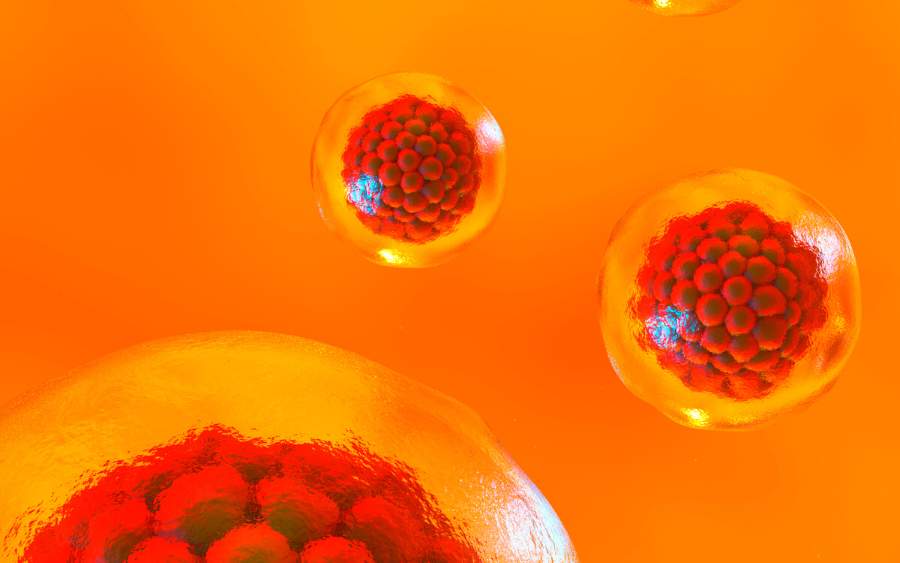 干細(xì)胞療法能持續(xù)多久？