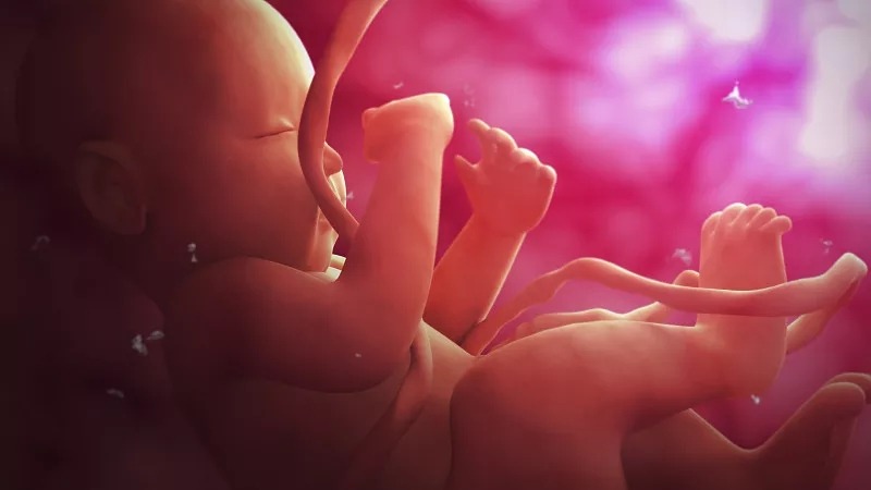 臍帶間充質干細胞的作用和功效是什么？在哪些疾病具有臨床應用價值？