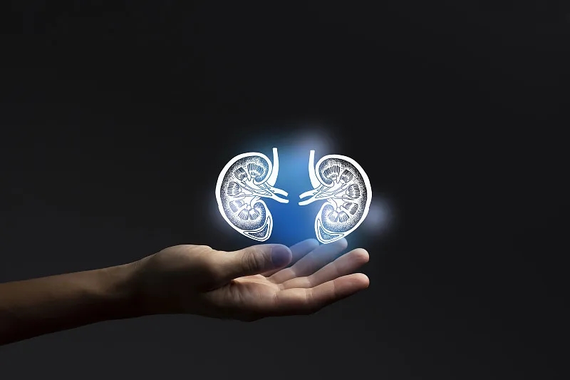 除了透析治療腎衰竭，還有什么治療方法？