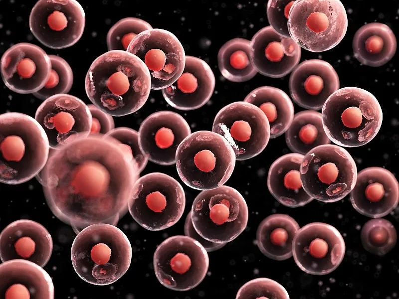 臍帶血干細胞移植有什么好處？