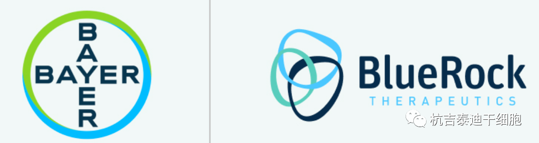 拜耳表示神經元干細胞療法治療帕金森?。菏讉€1期臨床試驗取得積極結果