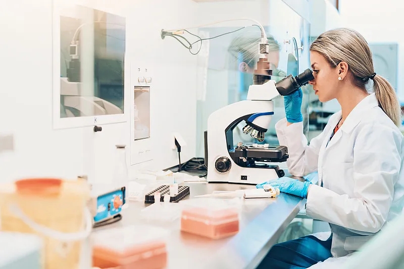 干細(xì)胞研究爭(zhēng)議：深入探討 (2023)