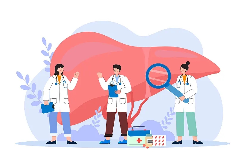 間充質(zhì)干細胞治療肝病的新視角:恢復(fù)線粒體功能 間充質(zhì)干細胞治療肝病的新視角:恢復(fù)線粒體功能