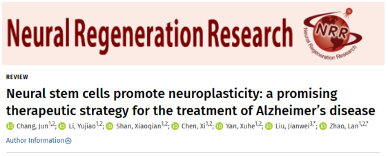 通過移植神經(jīng)干細胞來改善阿爾茨海默病小鼠的認知缺陷和海馬突觸的丟失