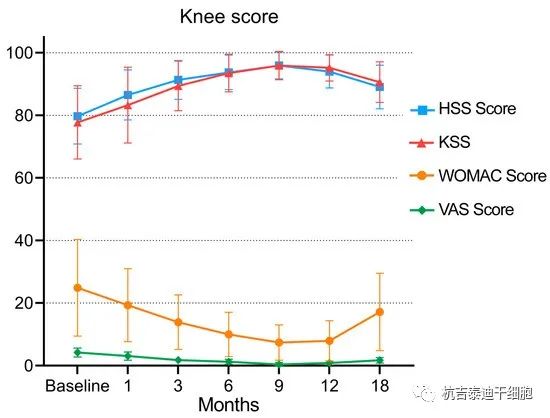 圖3:隨訪期間WOMAC評(píng)分、VAS、HSS評(píng)分和KSS的變化
