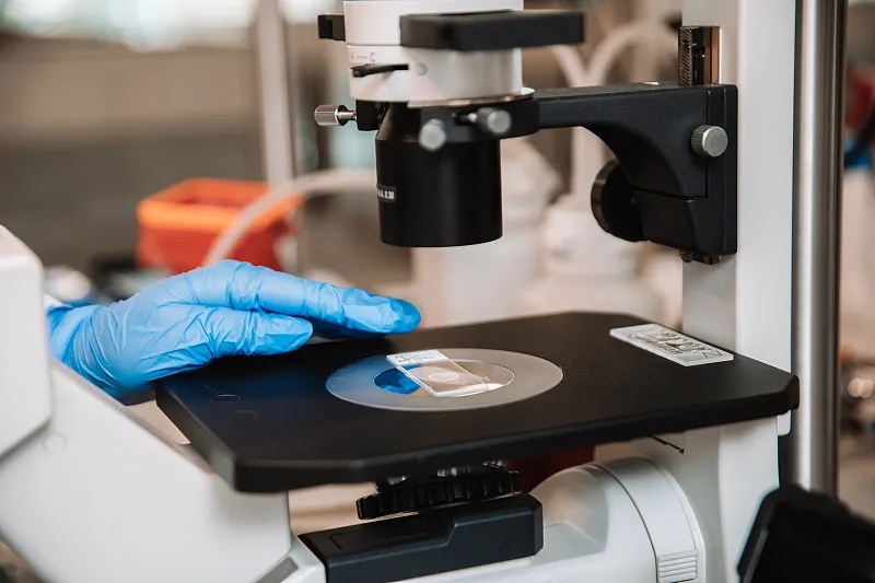 干細(xì)胞治療仍有疑慮 ?九大《專(zhuān)家共識(shí)》帶你洞悉干細(xì)胞的價(jià)值與地位