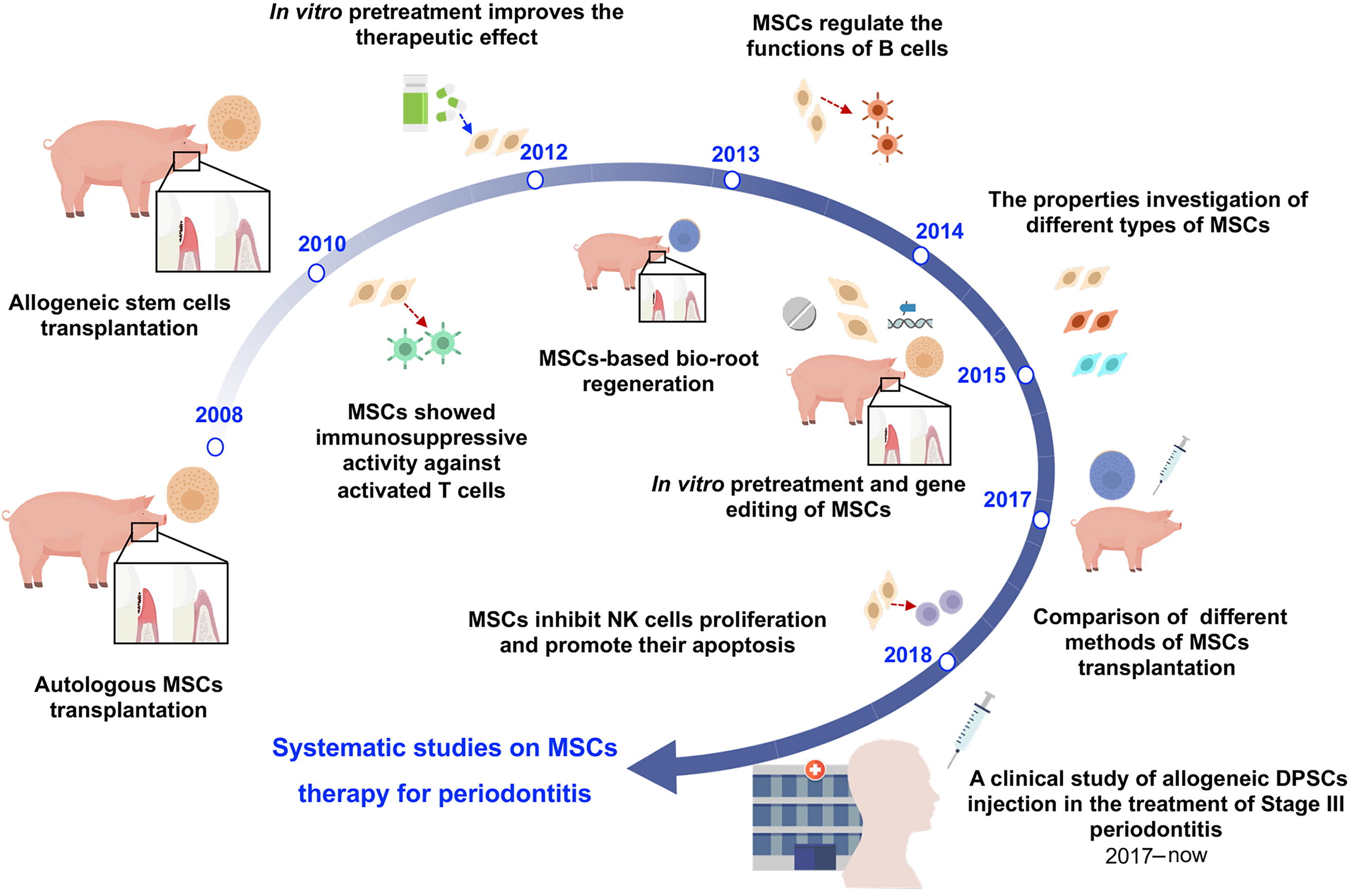 圖1：中國開發(fā)治療牙周炎的間充質(zhì)干細胞藥物示意圖