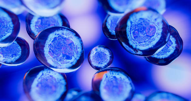 人間充質(zhì)干細胞藥物的開發(fā)及臨床應(yīng)用