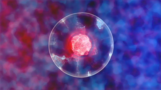 中科脂肪干細(xì)胞 中科脂肪干細(xì)胞