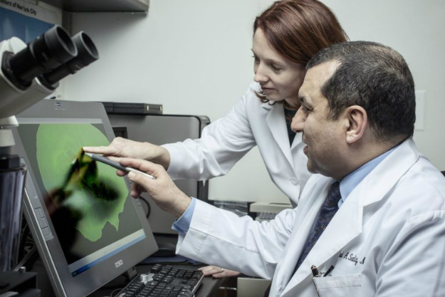 MS 的干細(xì)胞 – Sadiq 博士和 Tisch MSRCNY 的 Violaine Harris 博士