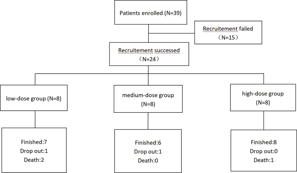 圖1：研究流程圖