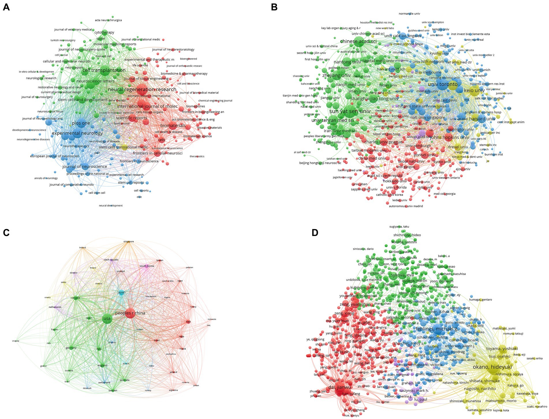 圖5：脊髓損傷研究干細胞療法的文獻耦合分析。