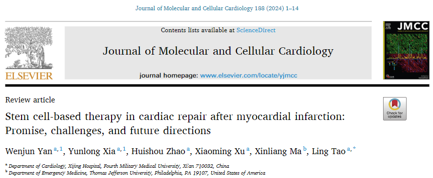干細(xì)胞治療效果不佳？這四招能助你效果大增！