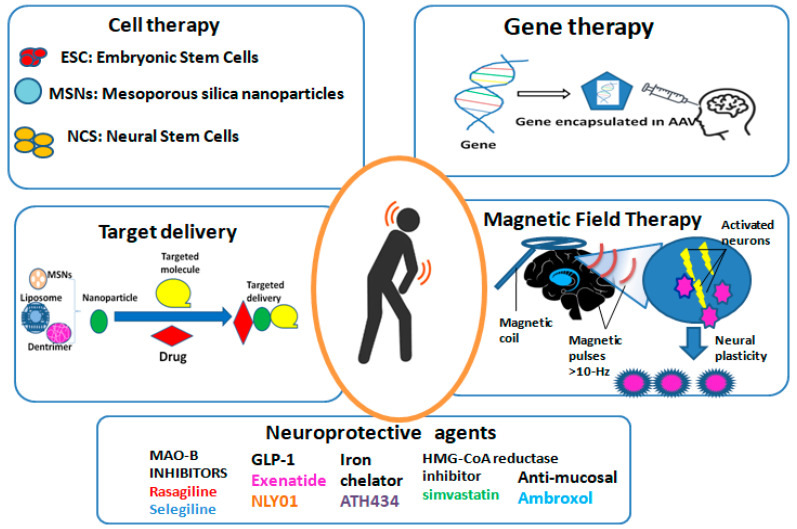 圖2:帕金森病的新療法概述。 圖2:帕金森病的新療法概述。