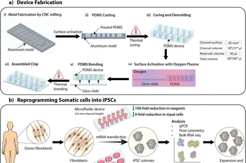 新設備改善了干細胞的生成，為阿爾茨海默氏癥細胞療法提供了機會