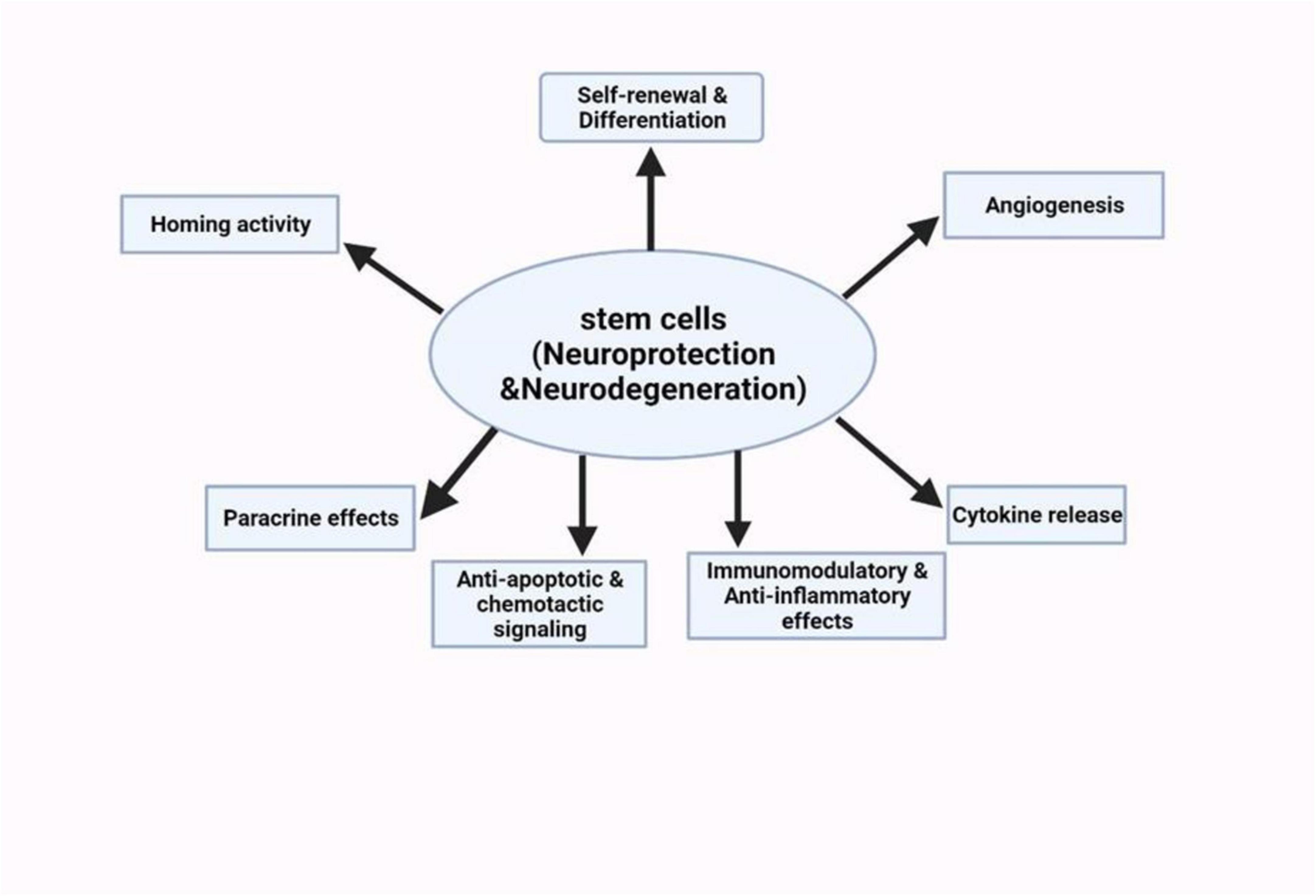 圖5：干細(xì)胞療法對神經(jīng)系統(tǒng)疾病的神經(jīng)保護(hù)潛力的示意圖
