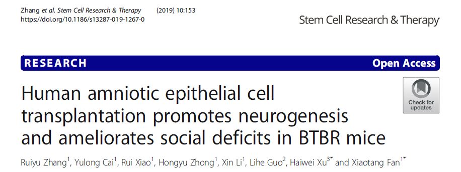 人類羊膜上皮細胞移植促進 BTBR 小鼠的神經發生并改善社交缺陷 人類羊膜上皮細胞移植促進 BTBR 小鼠的神經發生并改善社交缺陷