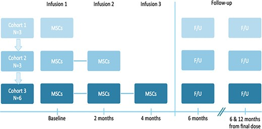本研究是一項(xiàng)I期開放標(biāo)簽劑量遞增試驗(yàn)，研究對(duì)象為患有ASD的幼兒，靜脈輸注一次、兩次或三次hCT-MSC