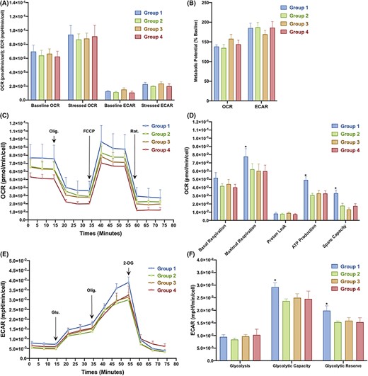圖3：從對照組和2型糖尿病 (T2DM) 患者中分離的骨髓間充質(zhì)干細(xì)胞 (BM-MSC) 的代謝概況。