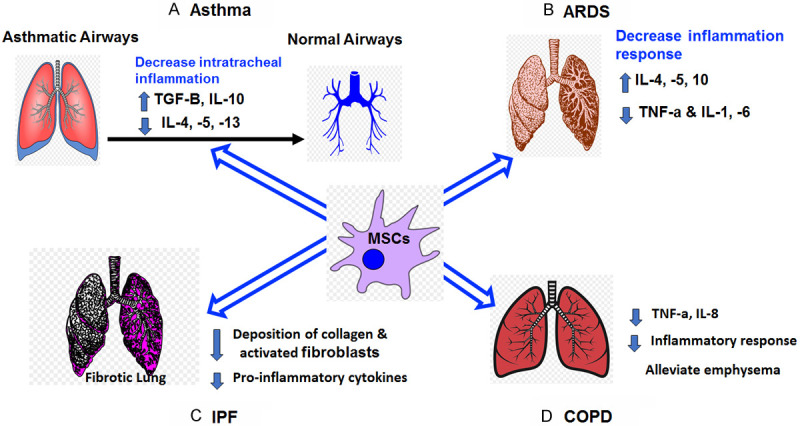 圖1：MSCs在主要肺部疾病和病癥中的主要功能總結。