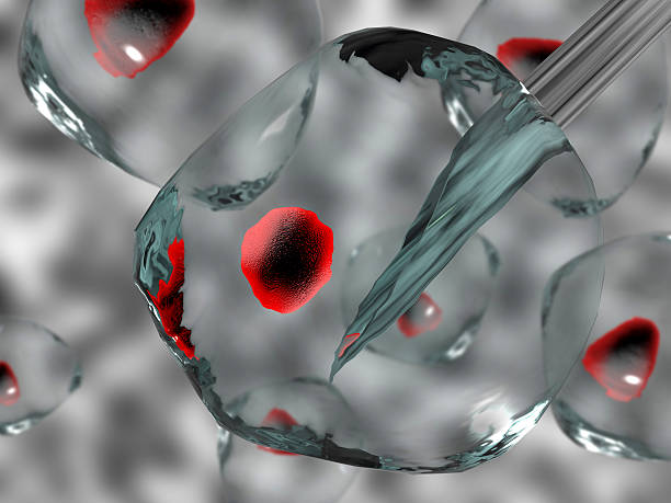 抑郁癥的治療方式有哪些？