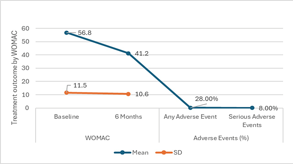 圖4：西安大略大學和麥克馬斯特大學關節炎指數 (WOMAC) 六個月隨訪的治療結果