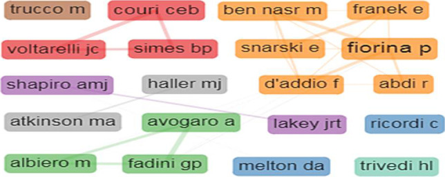 圖5：1型糖尿病干細胞療法的作者合作網絡。