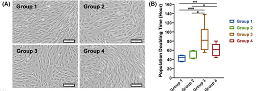 健康組（第1組）和2型糖尿病患者的自體骨髓來源間充質(zhì)干細(xì)胞（BM-MSCs）的表征對比