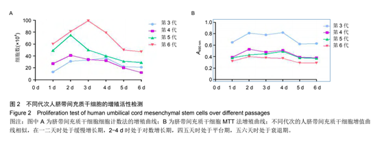 不同代次人臍帶間充質(zhì)于細(xì)胞的增殖活性檢測