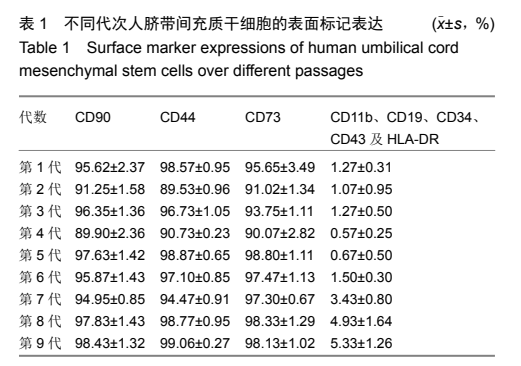 不同代次人臍帶間充質(zhì)干細(xì)胞的表面標(biāo)記表達(dá)