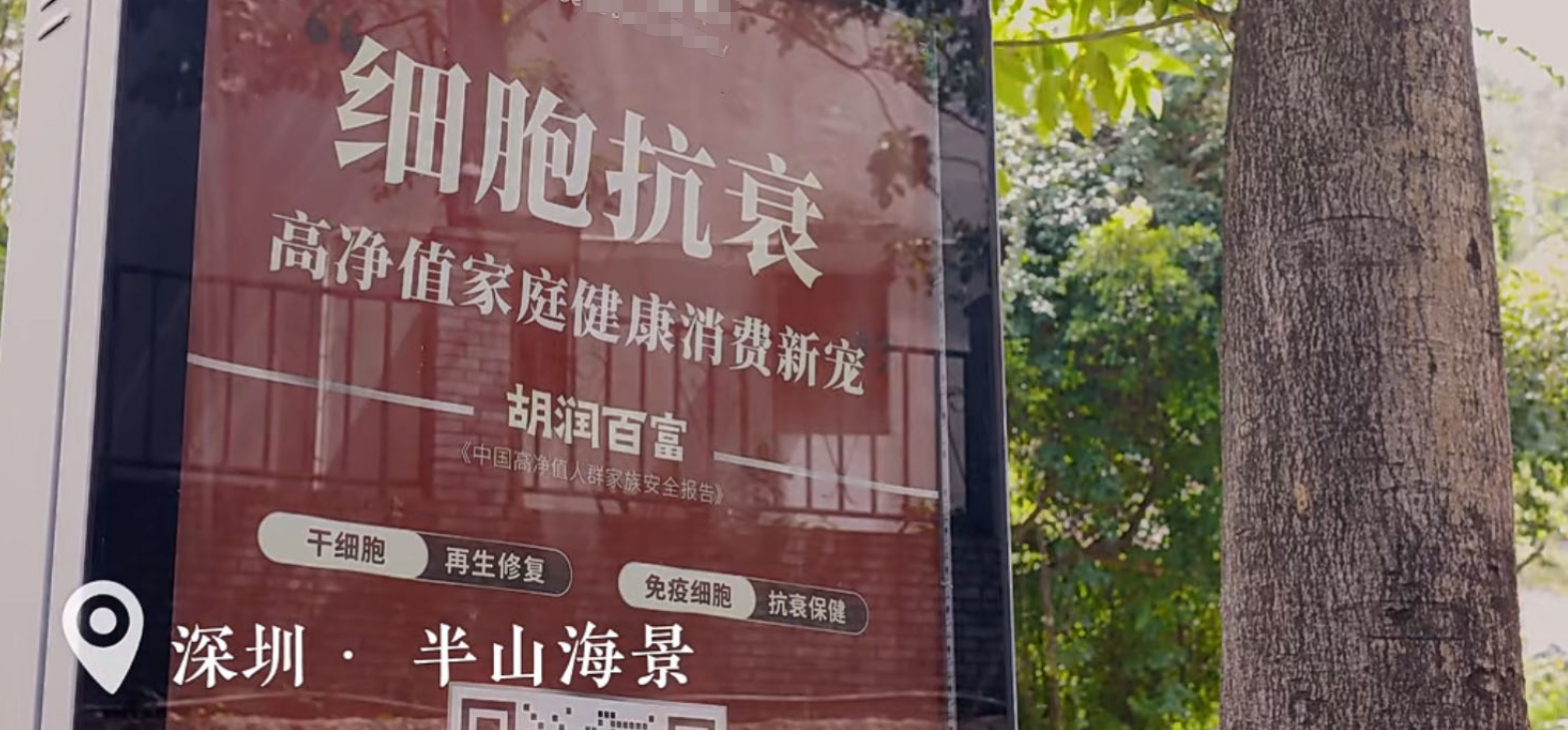 深圳擴大開放：別墅區細胞抗衰廣告風靡，高凈值家庭健康新寵登場！