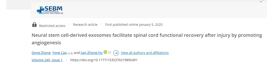 神經干細胞衍生的外泌體通過促進血管生成促進損傷后脊髓功能恢復