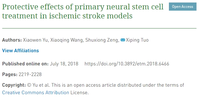 原發性神經干細胞治療對缺血性中風模型的保護作用