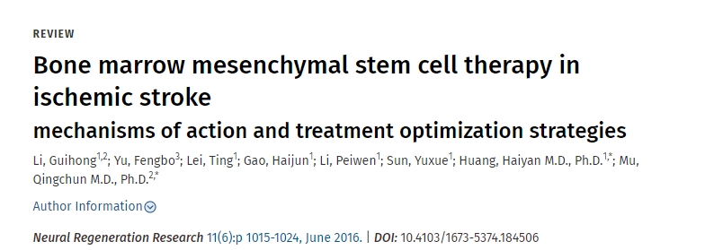 骨髓間充質干細胞治療缺血性腦卒中的作用機制及治療優化策略
