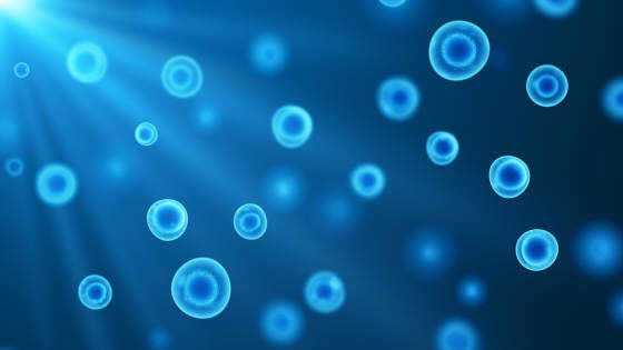 用于研究治療自閉癥的干細胞有哪些？