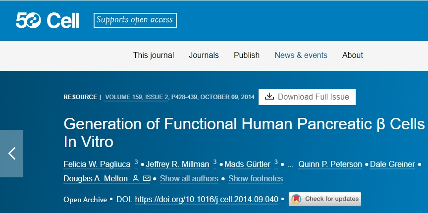 體外生成功能性人類胰腺 β 細(xì)胞