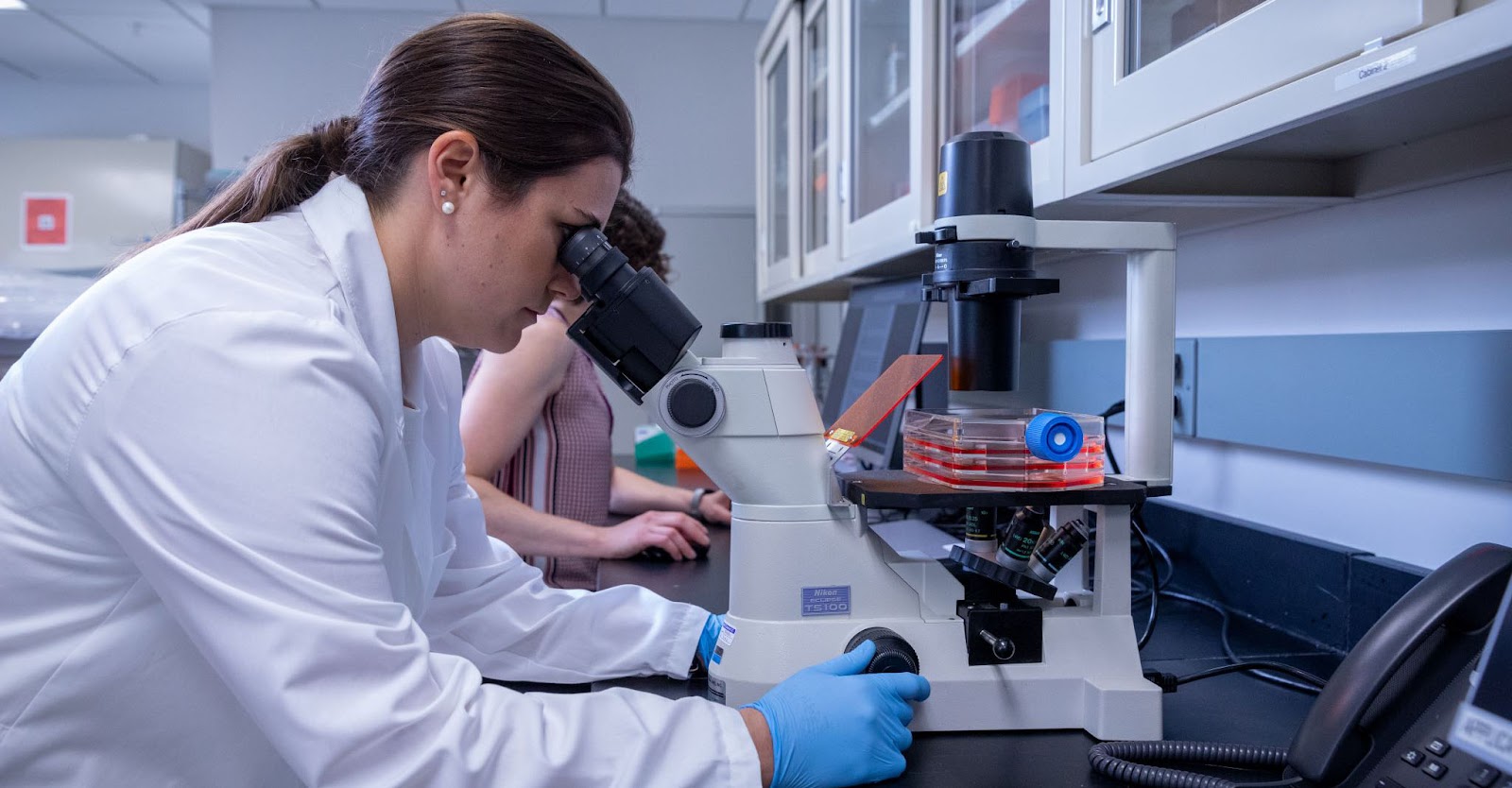 在干細胞用于治療之前，必須對其進行適當的激活和培養。