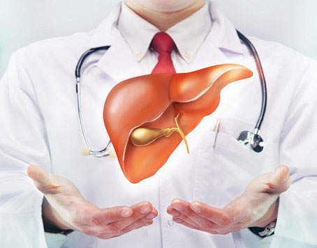 干細(xì)胞治療肝硬化的新進(jìn)展與前景如何？