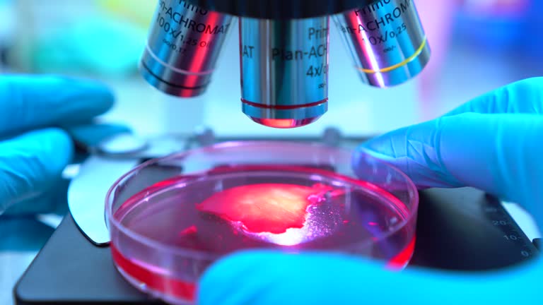 間充質干細胞療法的利與弊