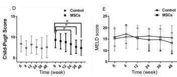 人臍帶間充質(zhì)干細胞（hUC-MSC）治療對肝硬化失代償期腹水患者腎功能、凝血功能及Child-Pugh和MELD評分的影響