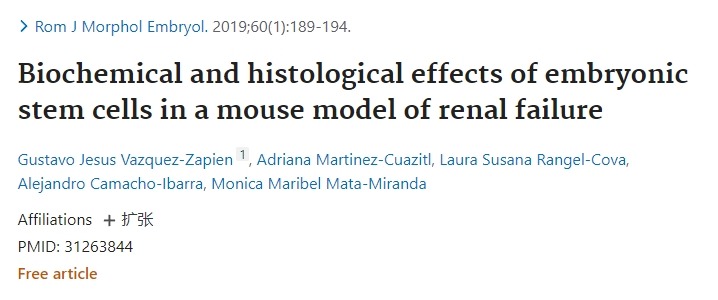胚胎干細胞在小鼠腎衰竭中的生化和組織學作用