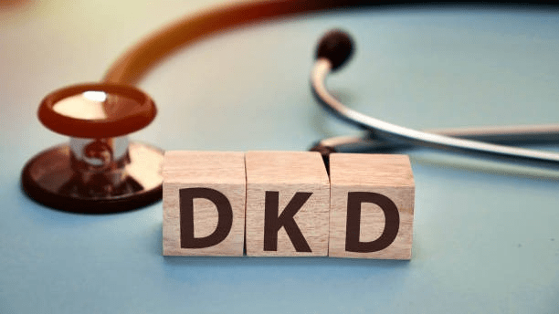 4類間充質(zhì)干細(xì)胞及其衍生的外泌體在糖尿病腎病中的作用