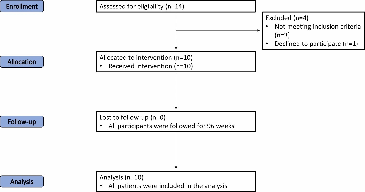 圖一：試驗各階段（招募、分配、跟進和分析）進展的流程圖