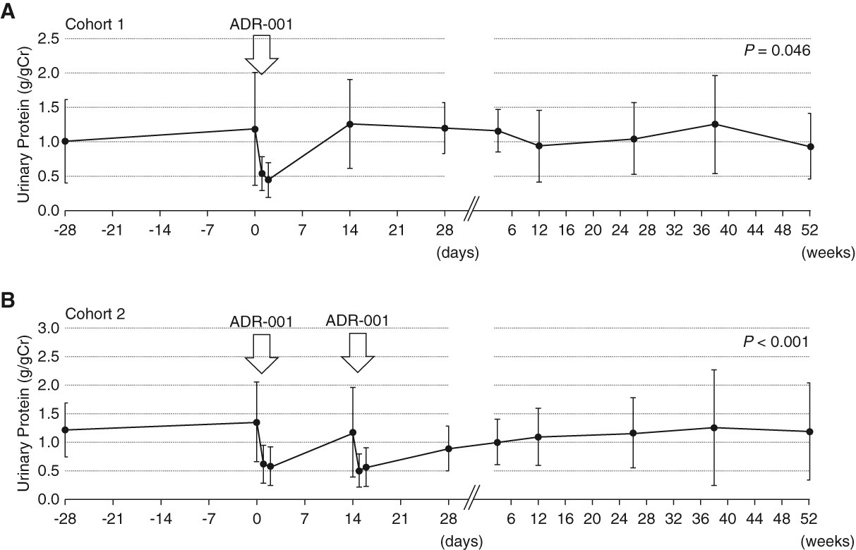 圖3：尿蛋白轉(zhuǎn)變。
