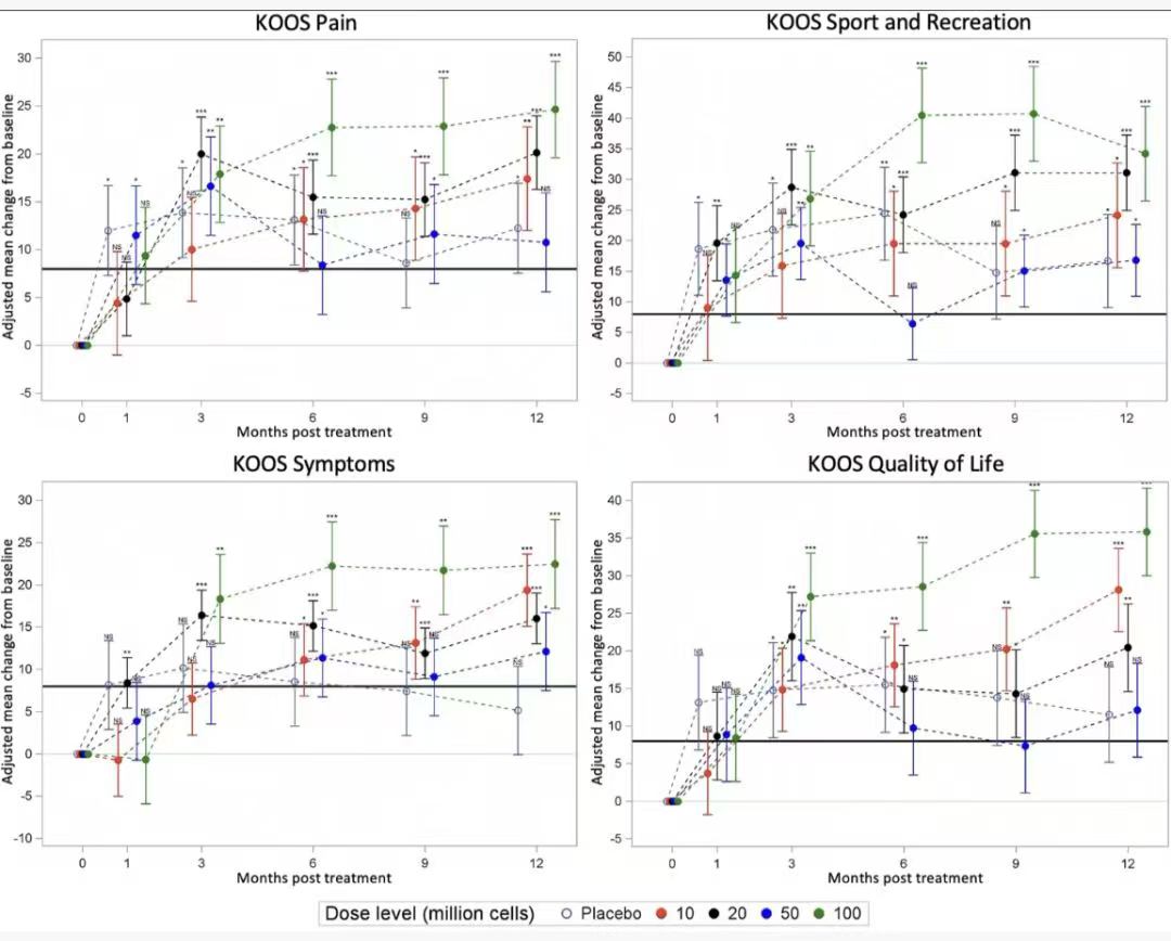 圖4：疼痛、體育與娛樂、癥狀、生活品質
