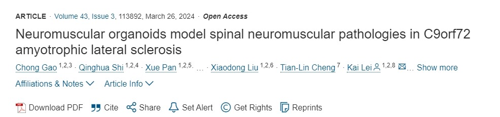 神經肌肉類器官模擬 C9orf72肌萎縮側索硬化癥中的脊髓神經肌肉病理 神經肌肉類器官模擬 C9orf72肌萎縮側索硬化癥中的脊髓神經肌肉病理