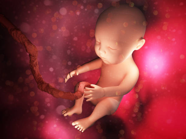 臍帶間充質干細胞